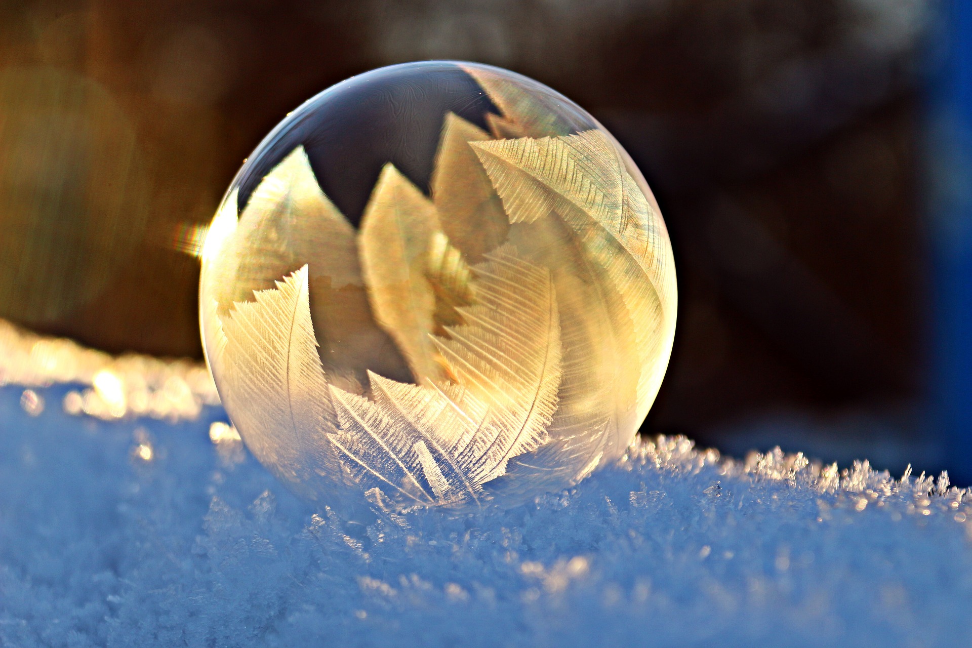 Creative Commons CC0 https://pixabay.com/en/soap-bubble-frost-snow-bubble-1958650/